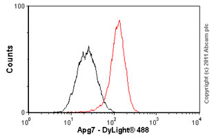 Flow Cytometry (Intracellular) - Anti-ATG7 antibody [EP1759Y] (ab52472), expandable thumbnail