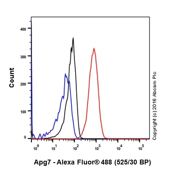 Flow Cytometry (Intracellular) - Anti-ATG7 antibody [EP1759Y] - BSA and Azide free (AB227564)