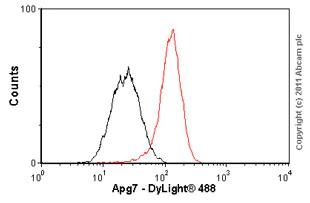 Flow Cytometry (Intracellular) - Anti-ATG7 antibody [EP1759Y] - BSA and Azide free (AB227564)