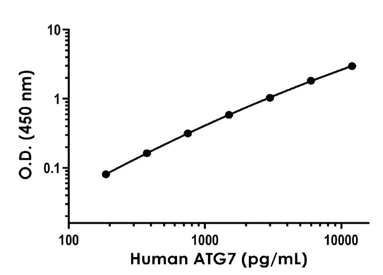 Sandwich ELISA - Anti-ATG7 antibody [EPR20384-81] - BSA and Azide free (Capture) (AB275852)