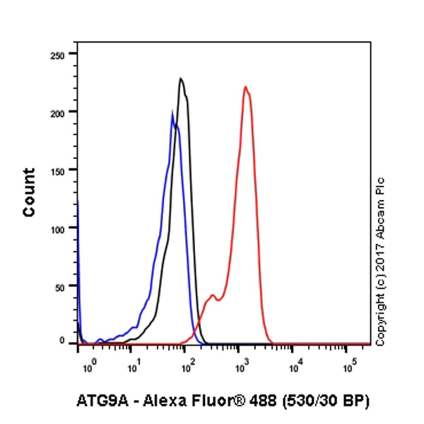 Flow Cytometry (Intracellular) - Anti-ATG9A antibody [EPR2450(2)] - BSA and Azide free (AB223528)