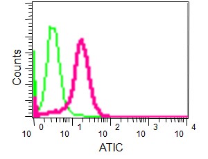 Flow Cytometry (Intracellular) - Anti-ATIC antibody [EPR13243-53] (AB188321)
