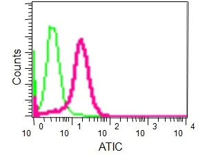 Flow Cytometry (Intracellular) - Anti-ATIC antibody [EPR13243-53] - BSA and Azide free (AB232532)