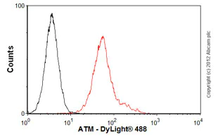 Flow Cytometry - Anti-ATM antibody [2C1 (1A1)] - BSA and Azide free (AB78)