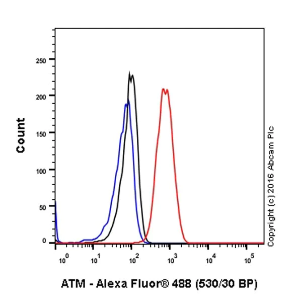 Flow Cytometry (Intracellular) - Anti-ATM antibody [EPR20100] - BSA and Azide free (AB223533)