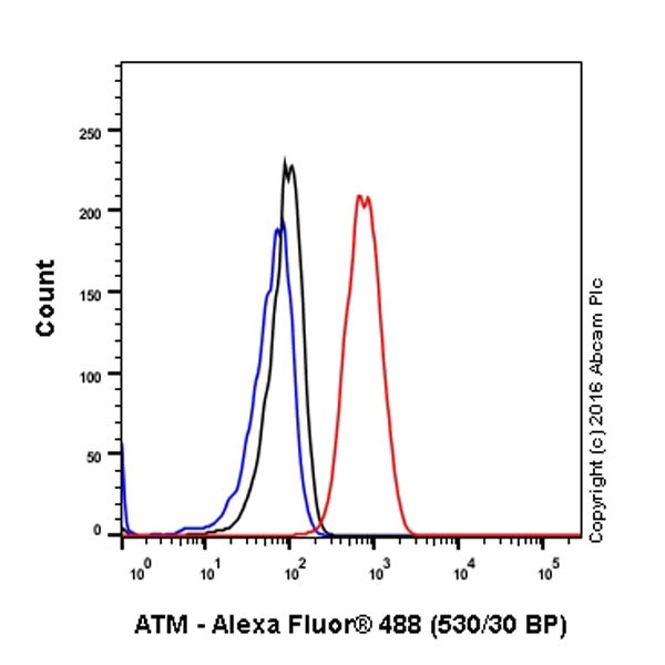 Flow Cytometry (Intracellular) - Anti-ATM antibody [EPR20100] - ChIP Grade (ab201022), expandable thumbnail