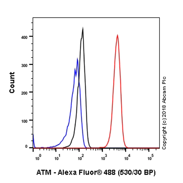 Flow Cytometry (Intracellular) - Anti-ATM antibody [SP224] (AB183324)