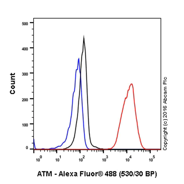 Flow Cytometry (Intracellular) - Anti-ATM antibody [Y170] - BSA and Azide free (AB216617)