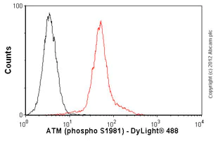 Flow Cytometry (Intracellular) - Anti-ATM (phospho S1981) antibody [10H11.E12] - BSA and Azide free (AB264520)