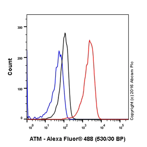 Flow Cytometry (Intracellular) - Anti-ATM (phospho S1981) antibody [EP1890Y] (AB81292)
