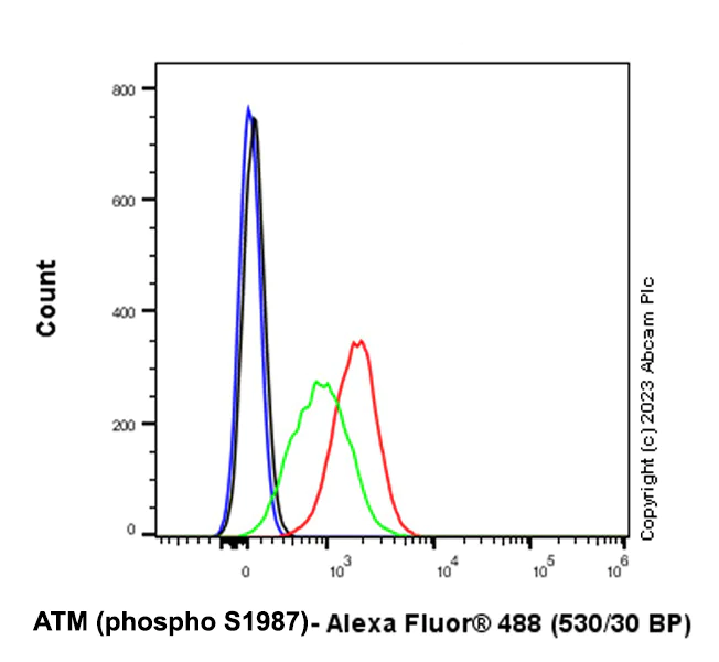 Flow Cytometry (Intracellular) - Anti-ATM (phospho S1987) antibody [EPR28058-71] - BSA and Azide free (AB315020)