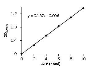 Functional Studies - ATP Assay Kit (Colorimetric/Fluorometric) (AB83355)