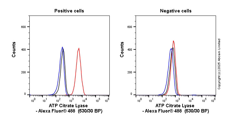 Flow Cytometry (Intracellular) - Anti-ATP citrate lyase antibody [EP704Y] (AB40793)