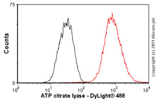 Flow Cytometry (Intracellular) - Anti-ATP citrate lyase antibody [EP704Y] (ab40793), expandable thumbnail