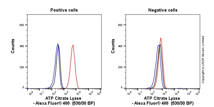 Flow Cytometry (Intracellular) - Anti-ATP citrate lyase antibody [EP704Y] - BSA and Azide free (AB227996)