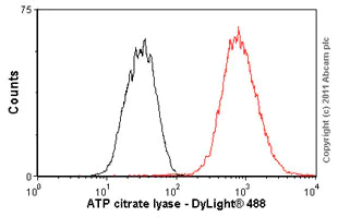 Flow Cytometry (Intracellular) - Anti-ATP citrate lyase antibody [EP704Y] - BSA and Azide free (AB227996)
