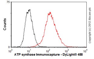 Flow Cytometry - Anti-ATP synthase Immunocapture antibody [12F4AD8AF8] (AB109867), expandable thumbnail