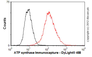 Flow Cytometry - Anti-ATP synthase Immunocapture antibody [12F4AD8AF8] (AB109867)