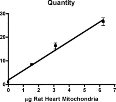 Functional Studies - ATP synthase Relative Activity Microplate Assay Kit (AB109716), expandable thumbnail