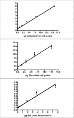 Functional Studies - ATP synthase Relative Activity Microplate Assay Kit (AB109716)