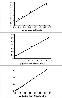 Functional Studies - ATP synthase Relative Activity Microplate Assay Kit (AB109716)
