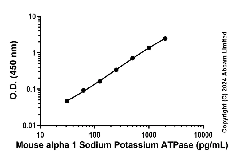 Sandwich ELISA - Anti-ATP1A1 antibody [EPR29444-505] - BSA and Azide free (Detector) (AB322687)