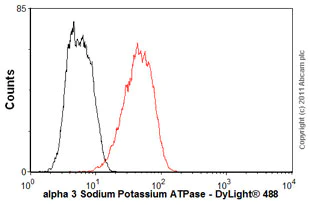 Anti-ATP1A3 antibody [XVIF9-G10] Mouse monoclonal (ab2826) | Abcam