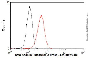 Flow Cytometry - Anti-ATP1B1 antibody [M17-P5-F11] (AB2873)