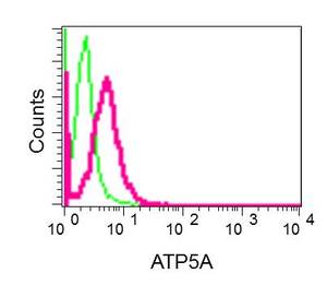Flow Cytometry (Intracellular) - Anti-ATP5A antibody [EPR13030(B)] - Mitochondrial Marker (ab176569), expandable thumbnail