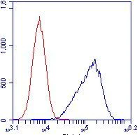 Flow Cytometry - Anti-ATP5C1 antibody [2A1AA11] (AB119686)