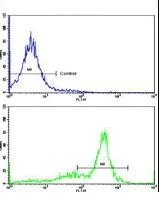 Flow Cytometry (Intracellular) - Anti-ATP5O antibody (AB230325)