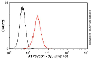 Flow Cytometry - Anti-ATP6V0D1/P39 antibody [2G12] (AB56441)