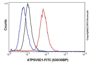 Flow Cytometry (Intracellular) - Anti-ATP6V0D1/P39 antibody [EPR18320] (AB202897)