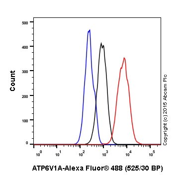 Flow Cytometry (Intracellular) - Anti-ATP6V1A antibody [EPR19270] (ab199326), expandable thumbnail