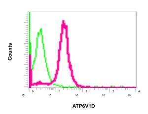 Flow Cytometry (Intracellular) - Anti-ATP6V1D antibody [EPR11326(B)] (AB157458)