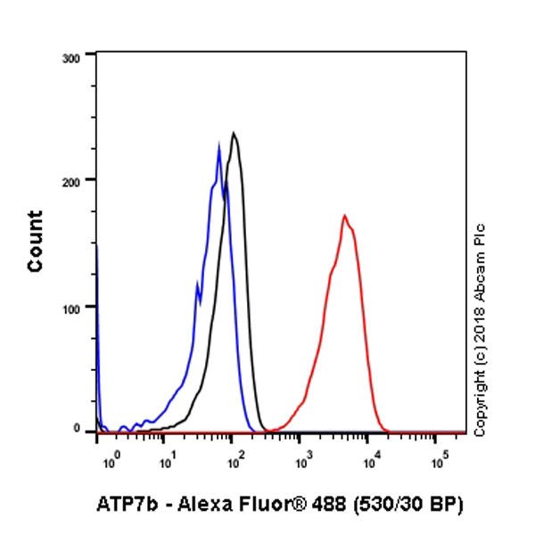 Anti-ATP7b recombinant antibody [EPR6794] (ab124973) | Abcam