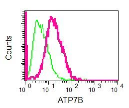 Flow Cytometry (Intracellular) - Anti-ATP7b antibody [EPR6794] (AB124973)