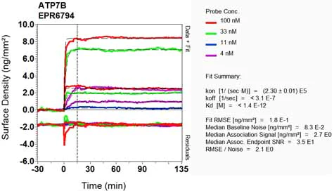 OI-RD Scanning - Anti-ATP7b antibody [EPR6794] - BSA and Azide free (AB240011)