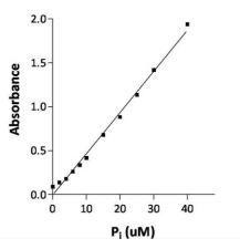 Functional Studies - ATPase Assay Kit (AB270551), expandable thumbnail