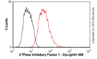 Anti-ATPase Inhibitory Factor 1/IF1 antibody [5E2D7] (ab110277