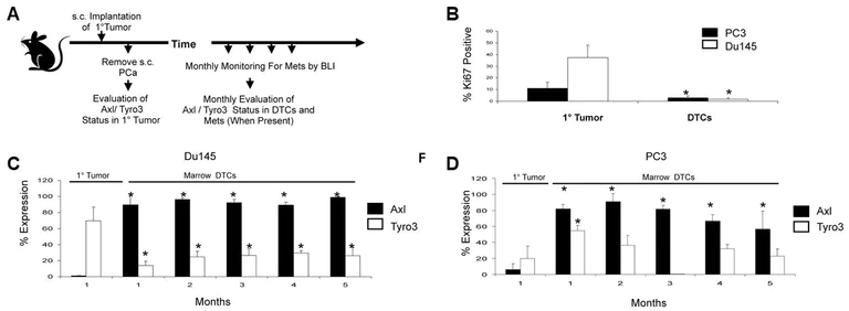 Flow Cytometry - Atto 390 Conjugation Kit (Fast) - Lightning-Link® (AB269895)