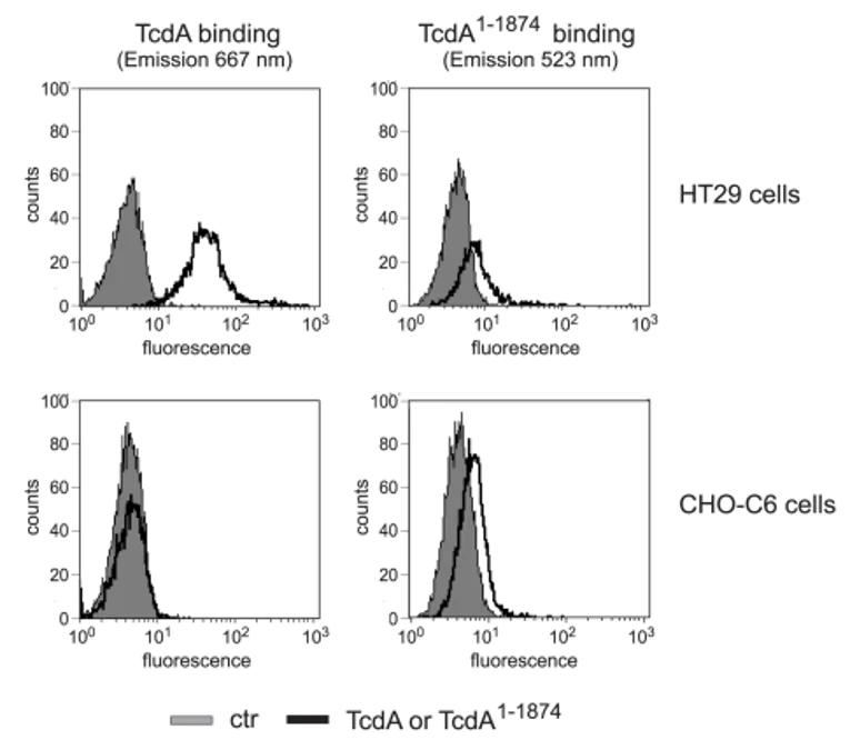 Conjugation - Atto 488 Conjugation Kit (Fast) - Lightning-Link® (AB269896)