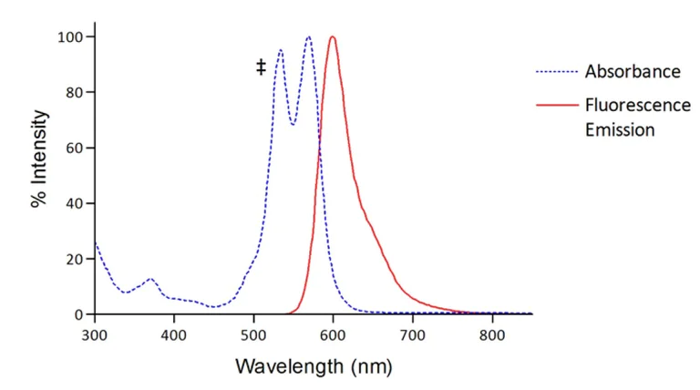 Functional Studies - Atto 565 Conjugation Kit (Fast) - Lightning-Link® (AB269897)