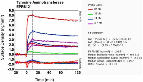 OI-RD Scanning - Anti-ATTY antibody [EPR6121] - BSA and Azide free (AB248092), expandable thumbnail