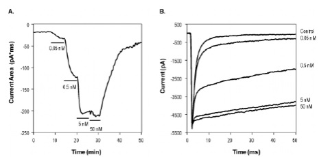 Functional Studies - ATX-II, NaV channel activator (AB141870)