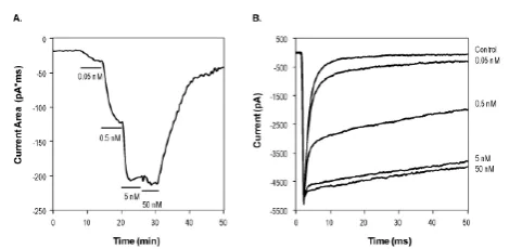 Functional Studies - ATX-II, NaV channel activator (AB141870)