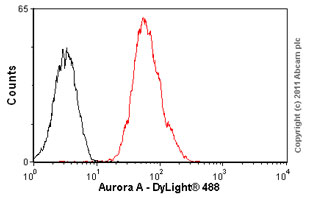 Flow Cytometry (Intracellular) - Anti-Aurora A antibody [35C1] (AB13824), expandable thumbnail