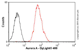 Flow Cytometry (Intracellular) - Anti-Aurora A antibody [35C1] (AB13824)