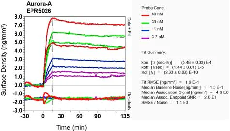 OI-RD Scanning - Anti-Aurora A antibody [EPR5026] - BSA and Azide free (AB247643)