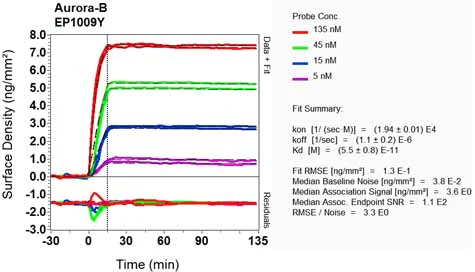 OI-RD Scanning - Anti-Aurora B antibody [EP1009Y] - BSA and Azide free (AB239837)